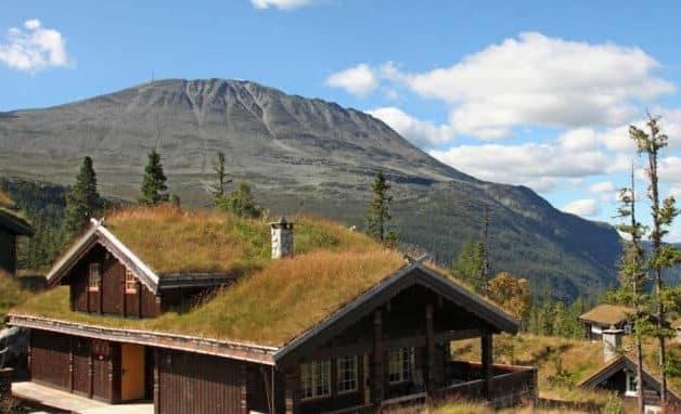 a house with grass on the roof