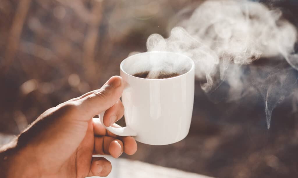 a hand holding a cup of coffee